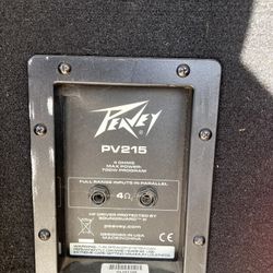 Peavey Columns Matching PV215 P A Speakers