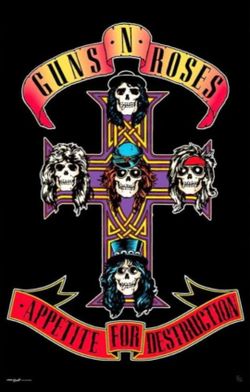 Guns & Roses Appetite For Destruction Wall Poster 24"x36"