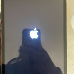 iPad Mini Apple Locked