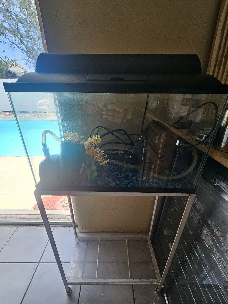 Aquarium With Stand