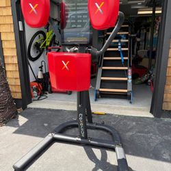 NEXERSYS N3 ELITE BOXING GYM SYSTEM