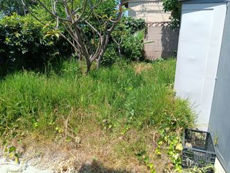 Jardineria