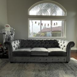 Trendy Sofas Couch