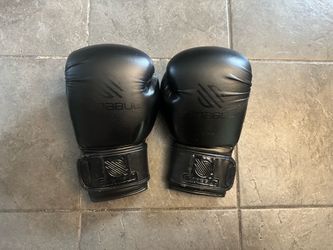 Sanabul Boxing Gloves (14oz)