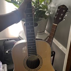 Mitchell junior Guitar