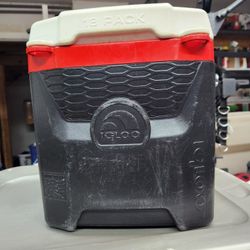 Igloo Cooler