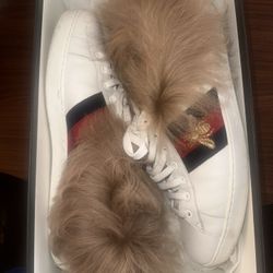 Gucci Shoe Size 43 