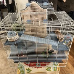 Full Hamster Cage Set Up With Fun Toys