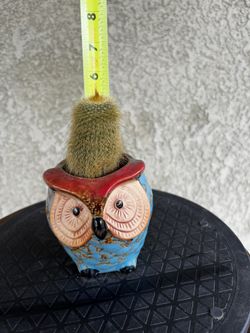 Cactus In Ceramic Owl