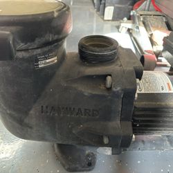 Jacuzzi Pool Pump Motor 