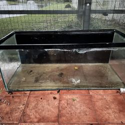 90 gallons fish tank