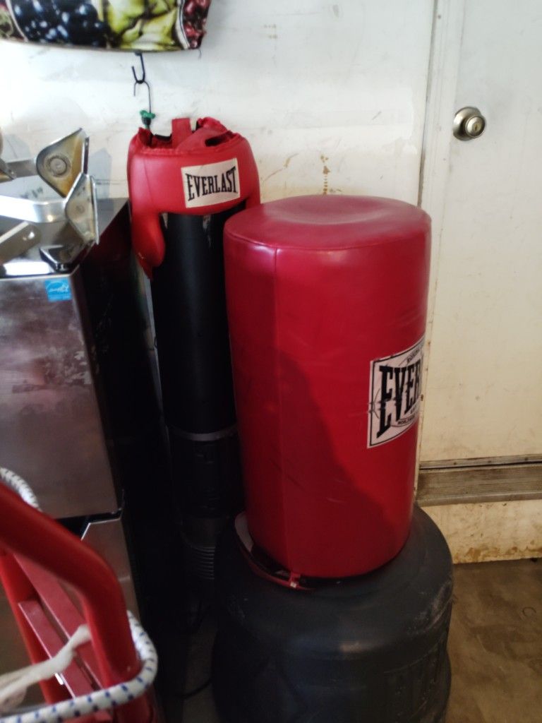 Everlast Punching Bag