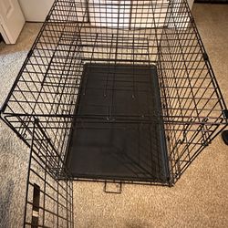 Dog Cage