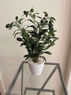 Fake olive tree plant