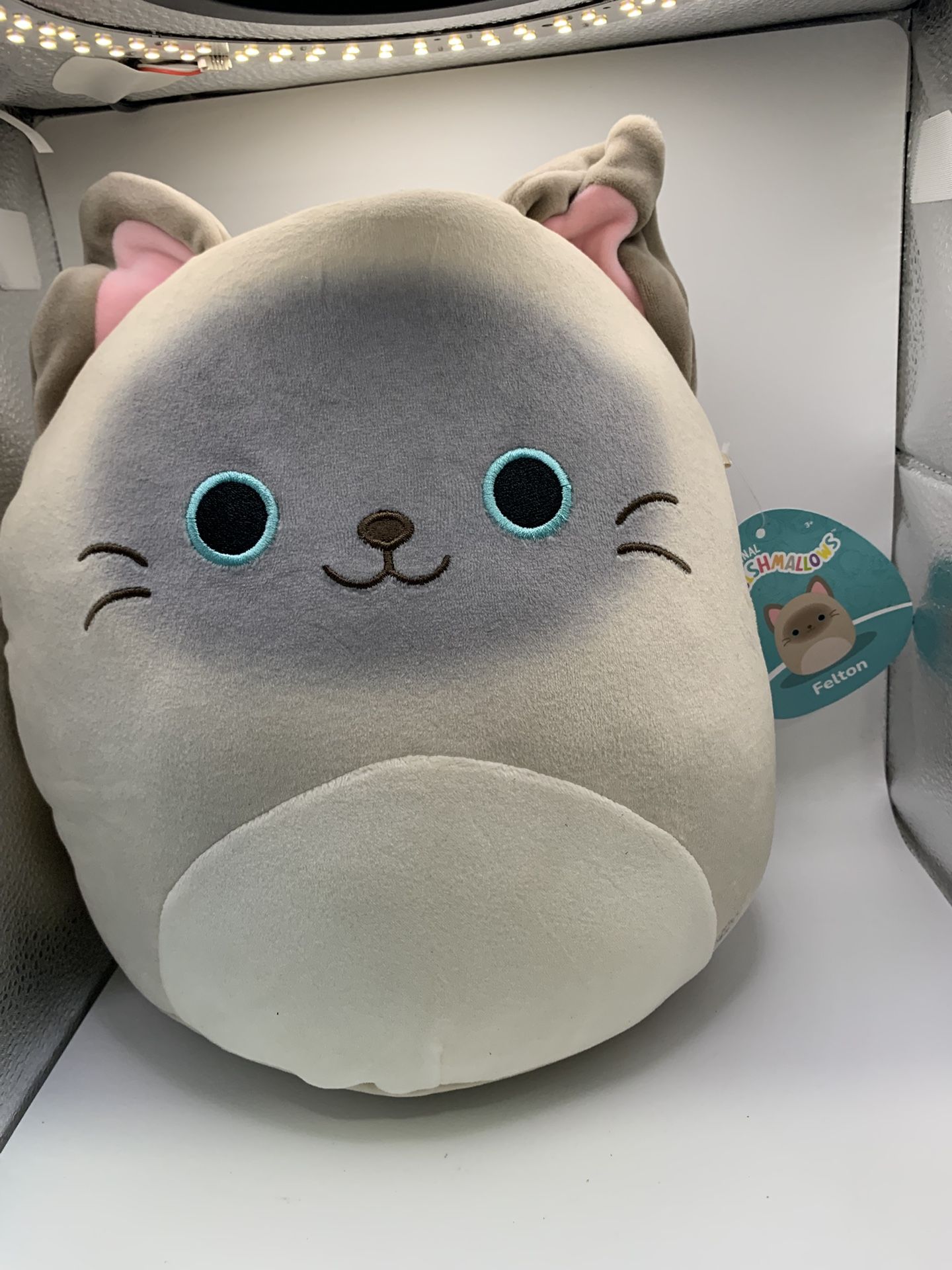 Squishmallows SQCR07414 10" Felton the Grey And Tan Siamese Cat
