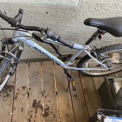 Roadmaster Mountain Bike 24”