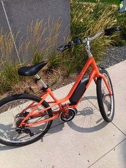 TREK gold alpha