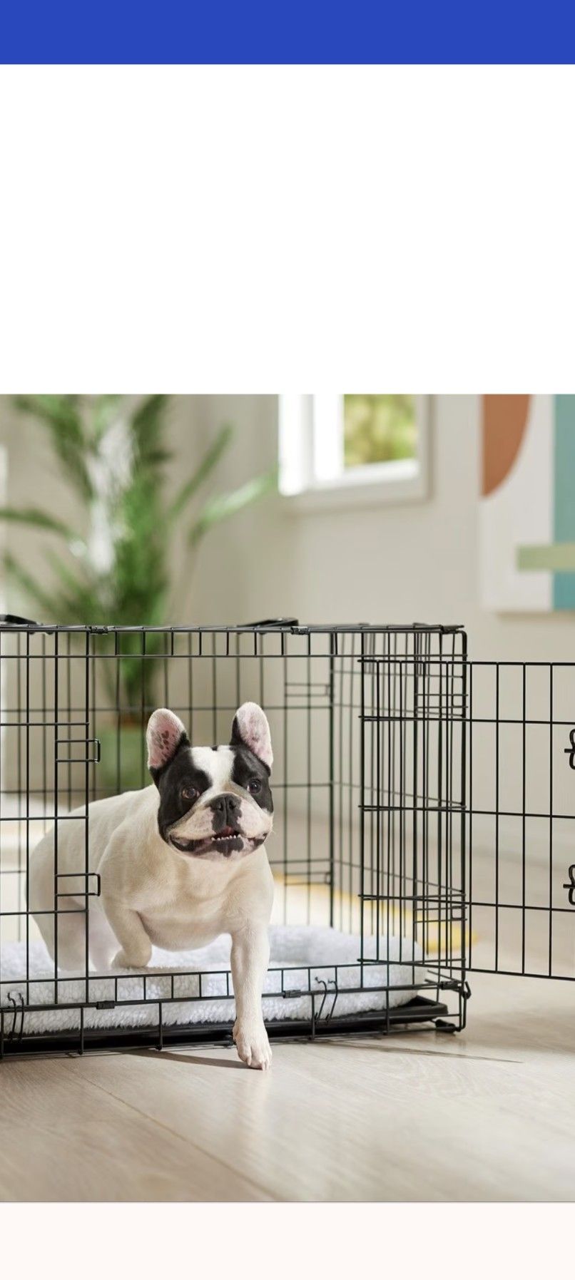 Brand New Dog Crate - Size Medium  + 2 Crate Mats