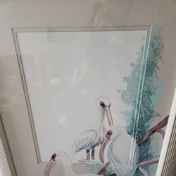 Beautiful Framed Birds
