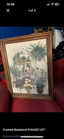 $15-FramedBotanical Picture 