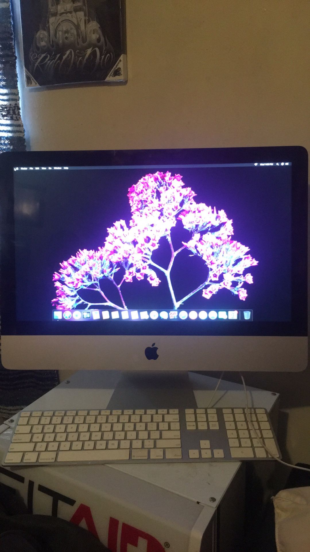 MacOS Mojave (Early 2013)