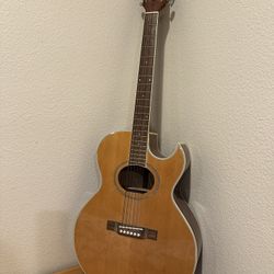 Washburn Handcrafted Guitar, Model EA6