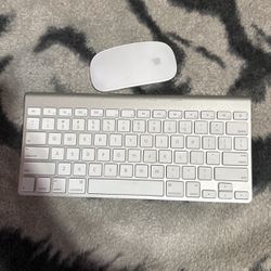 Apple Keyboard & Mouse 