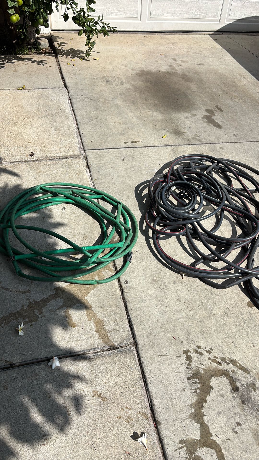 Water Hoses $5 Each (1x 50 Foot Green And & 1 X 100 Ft Grey)