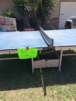 Ping pong table