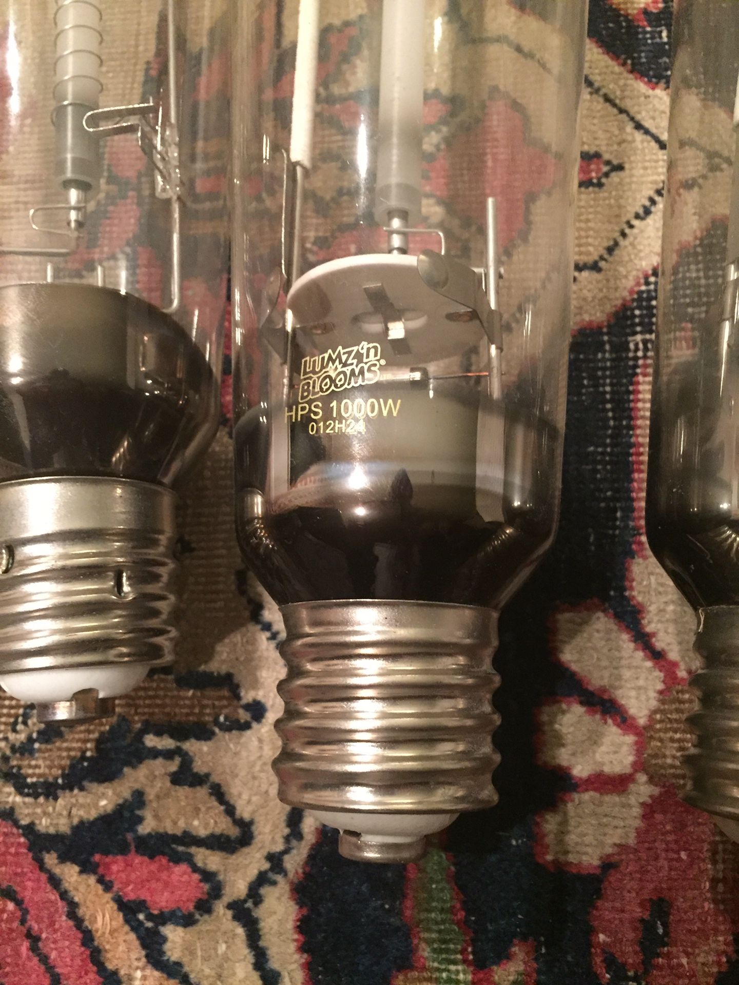 3 grow bulbs