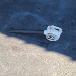 Echo Pb-200 Hand Held Gas Leaf Blower!