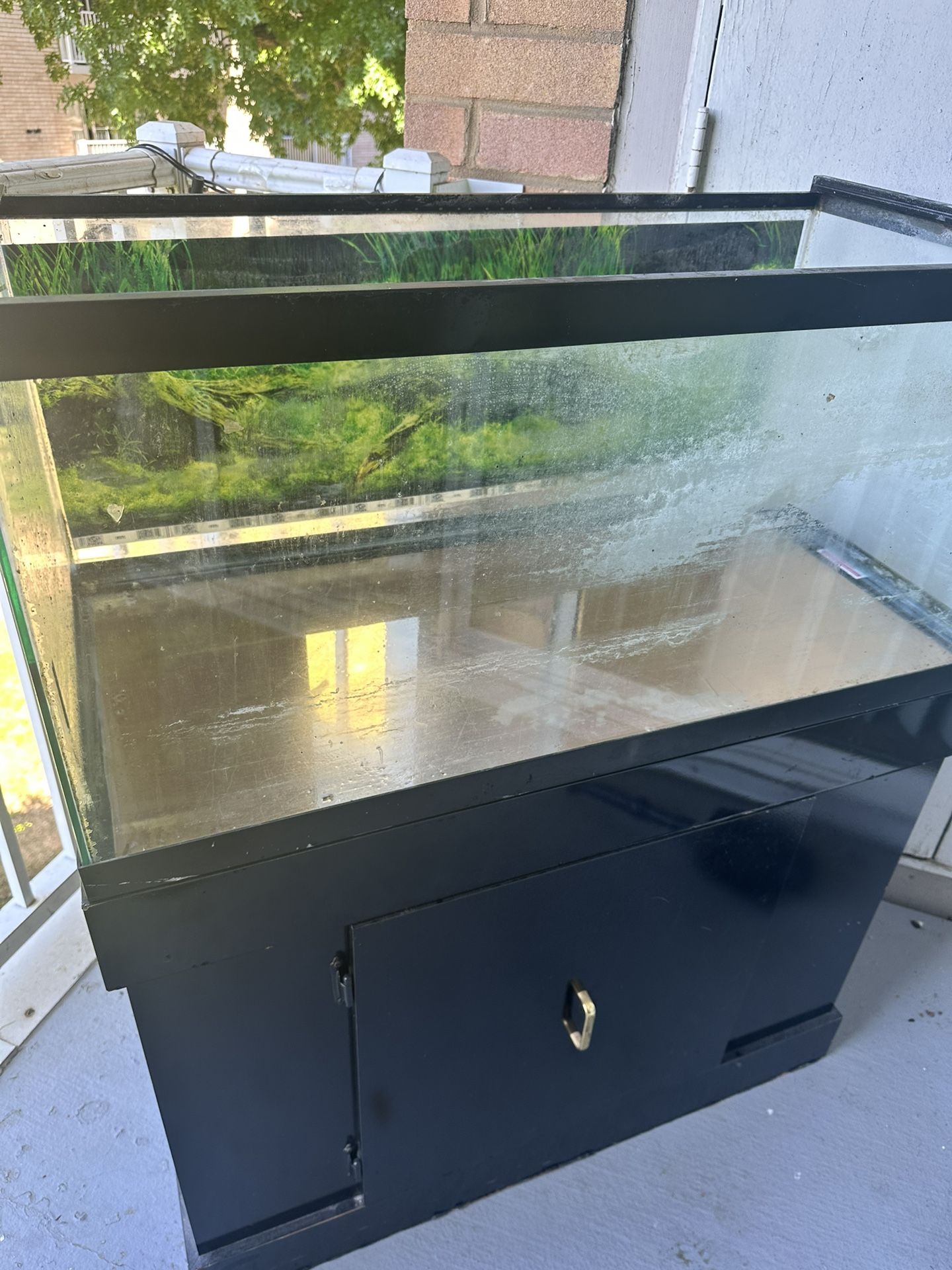 75 Gallon Fish Tank & Stand