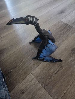 Bird dinosaur