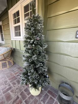 6 Ft Christmas Tree 