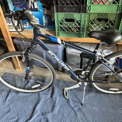 New Adult Schwinn Bike 🚴 