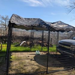 10*10*6 Kennel