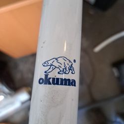 Beach/surf Fishing Pole By Okuma