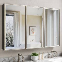 New in box -48 in W x 30 in H Brush Nickel Rectangular Aluminum Medicine Cabinet with Beveled Mirror, Recessed or Surface