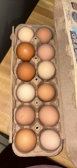 Huevos organicos