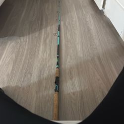 Custom Rod Medium Heavy 6ft