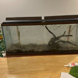 55 Gallon Aquarium And Hood