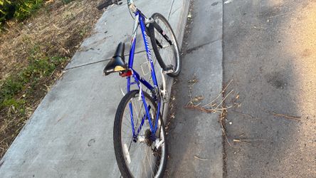 Hard rock specialized