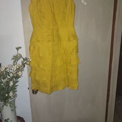 Dress New Size 8