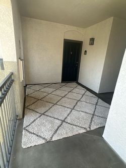 8x10 foot Rug, Pet Hair Free