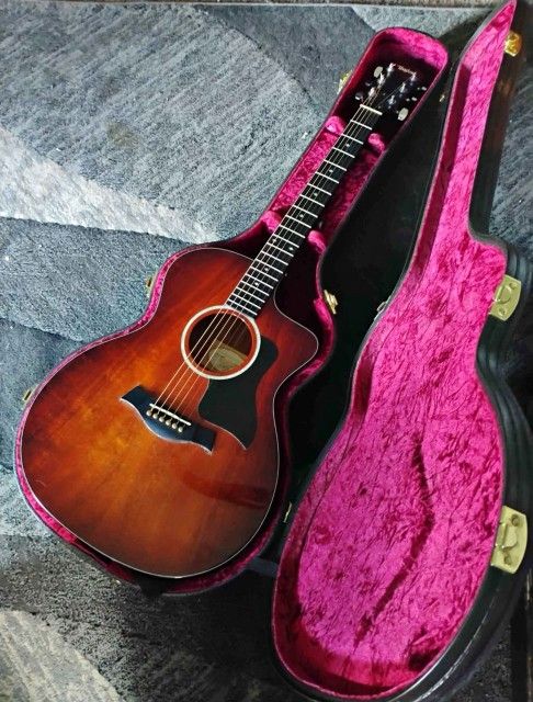 Taylor-Acoustic Guitar-224ceK DLX