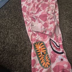 Pink & White Shark Jacket 