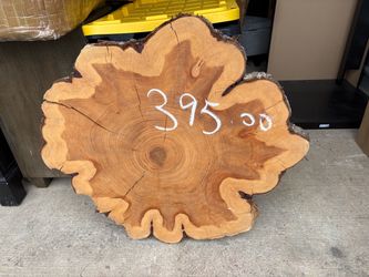 Large Live Edge Wood Slab Cross Section