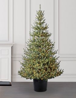 Holiday Living 7-ft Abies Fir Pre-lit Artificial Christmas Tree