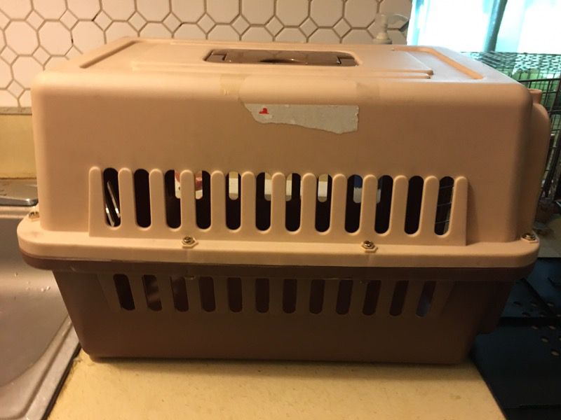 Small traveling crate for dog airline approve