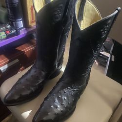 Brand New Ostrish Boots